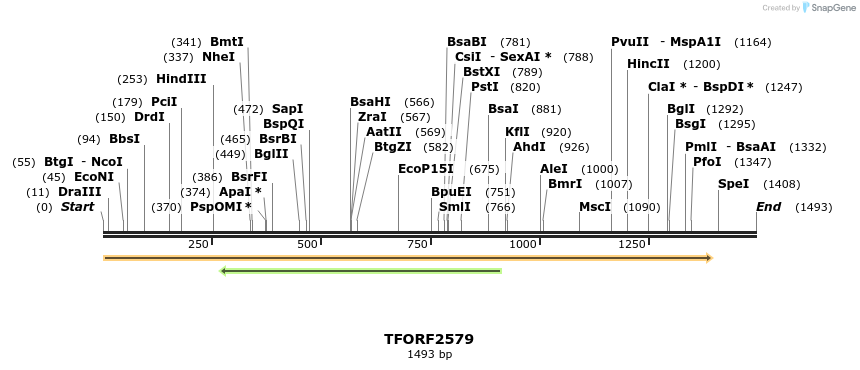 279131_map