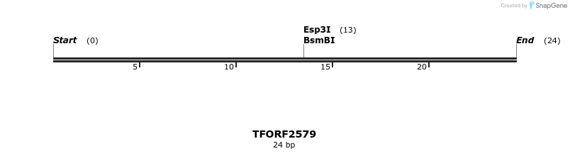 279132_map