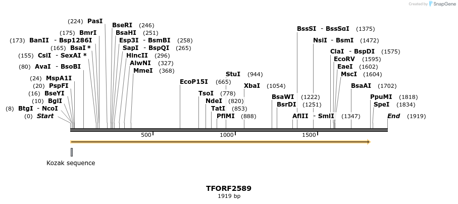 279137_map