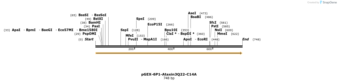 27914_map