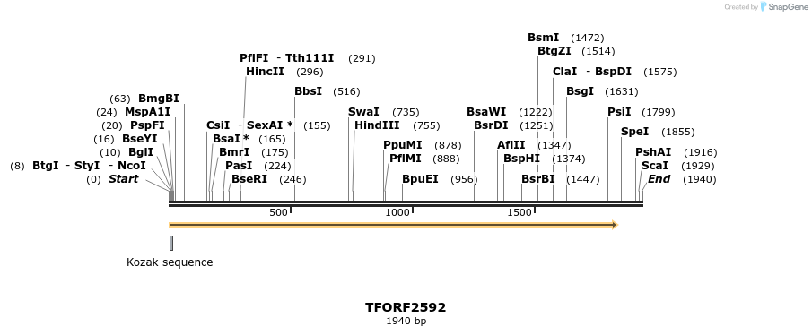 279143_map