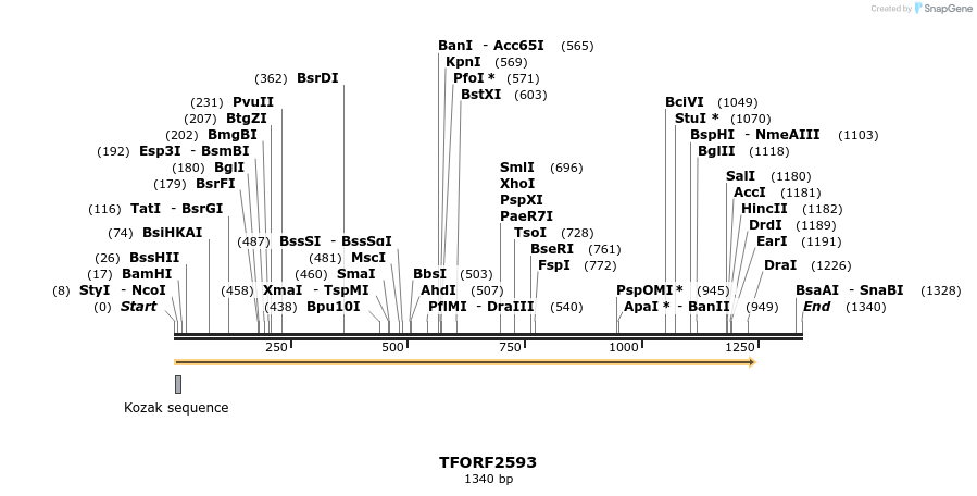 279146_map