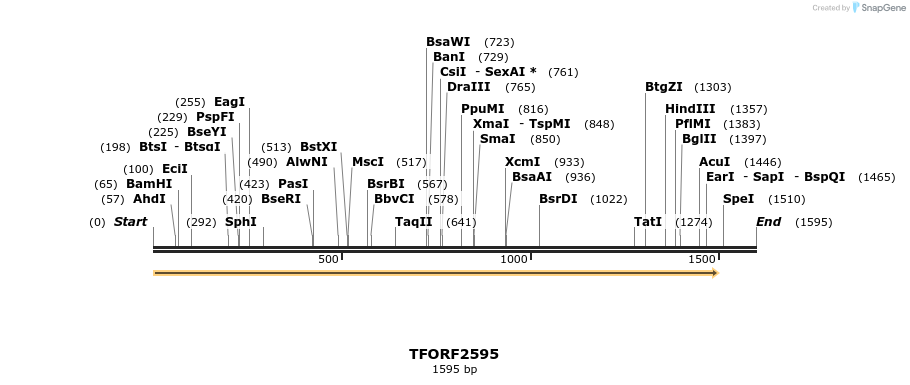 279149_map