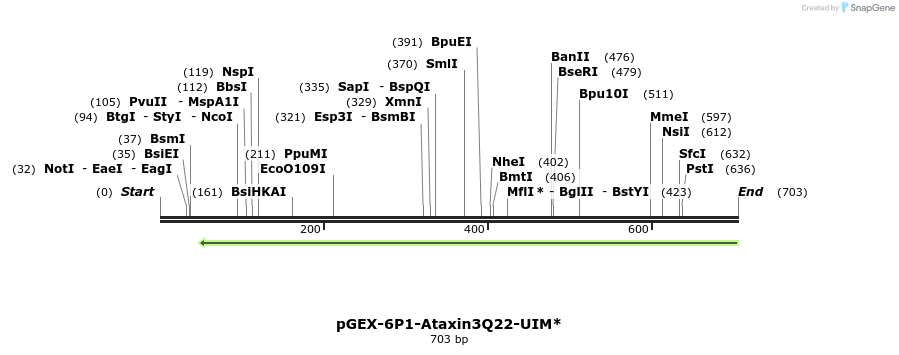 27915_map