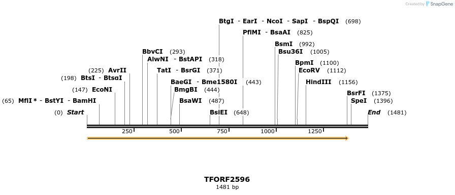 279152_map