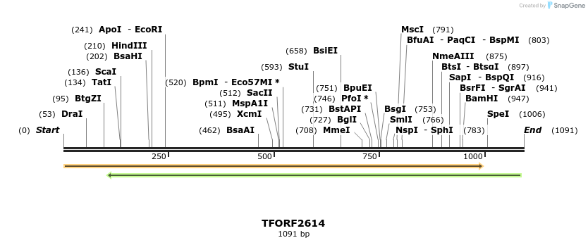 279155_map