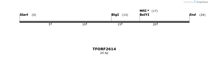 279156_map