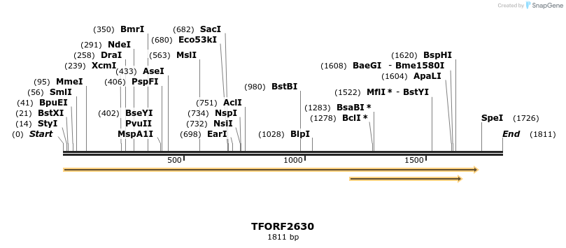 279158_map