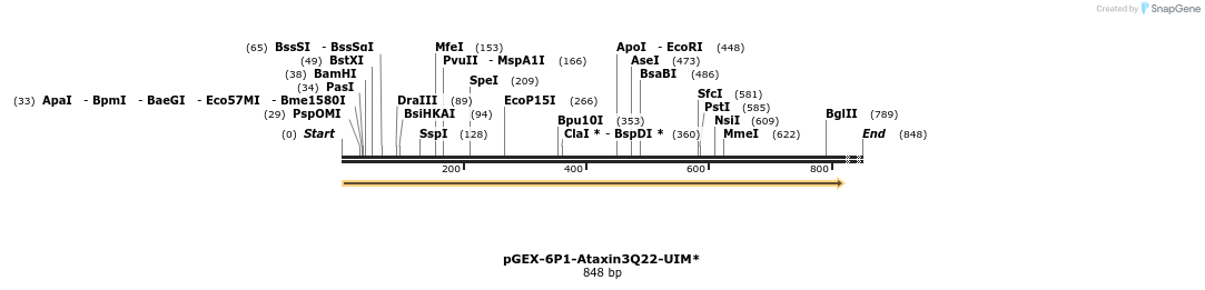 27916_map