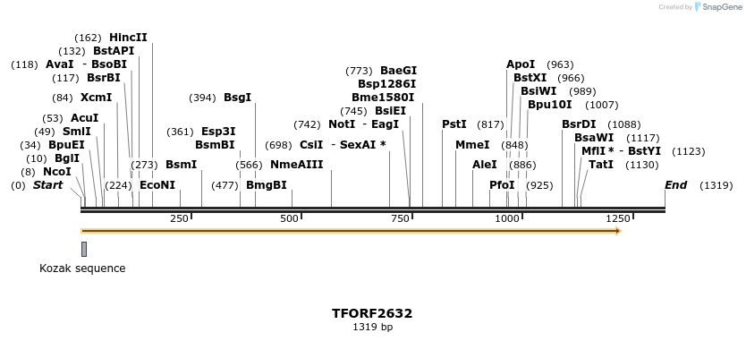279161_map