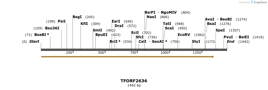 279167_map