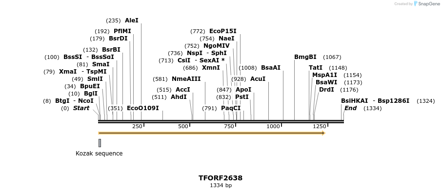 279170_map