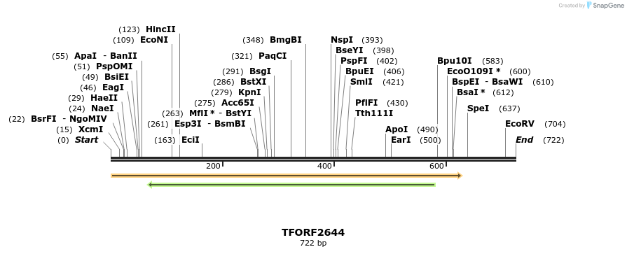 279173_map