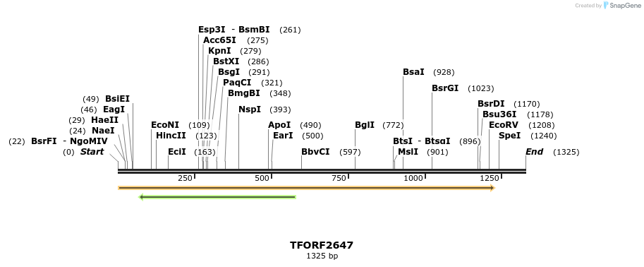 279176_map