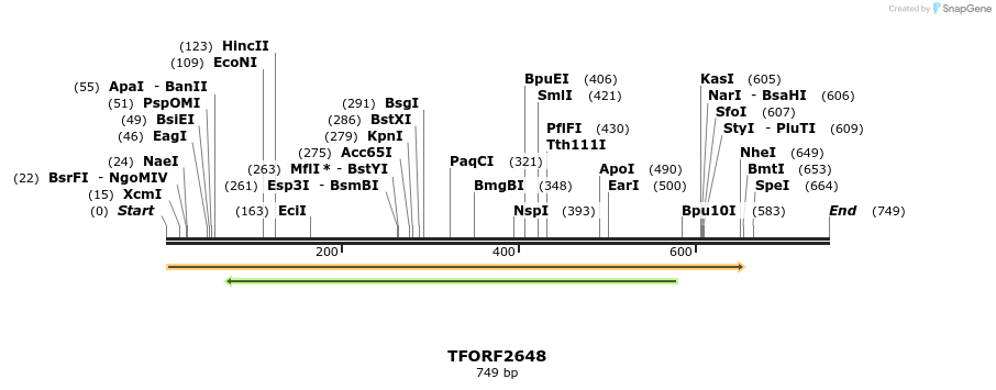 279179_map