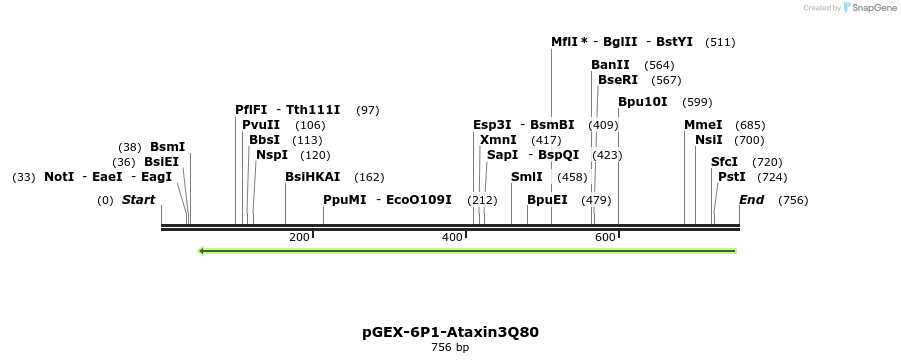 27918_map