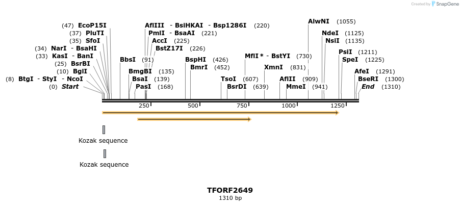 279182_map