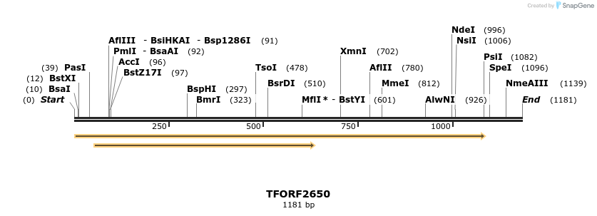 279185_map