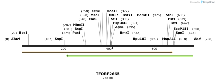 279191_map