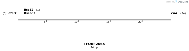 279192_map