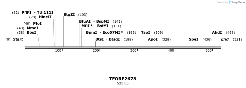 279197_map