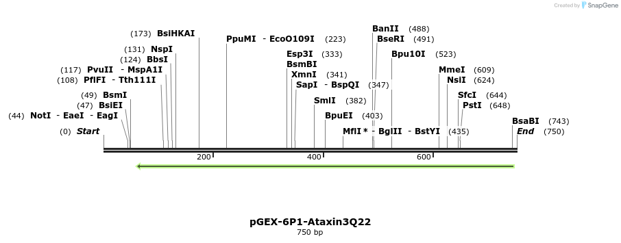 27920_map
