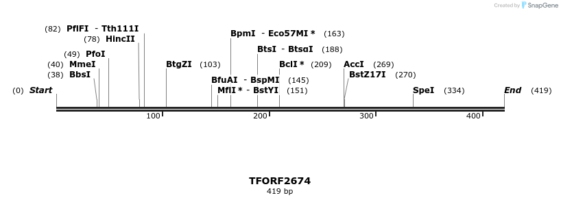 279200_map