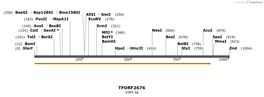 279203_map
