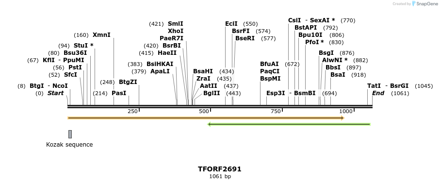 279209_map