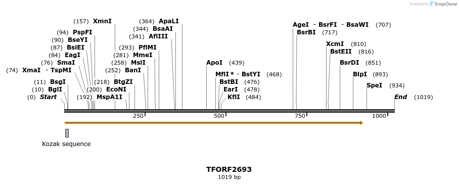 279215_map