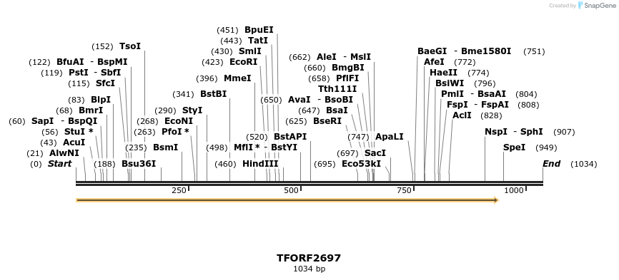 279218_map