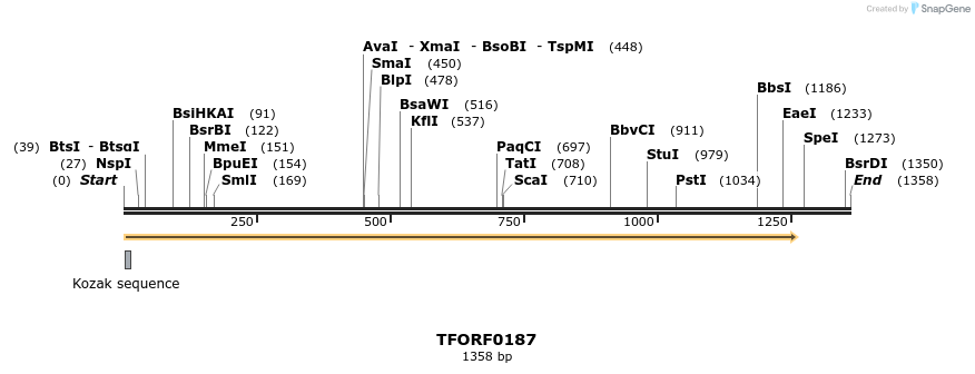 279224_map