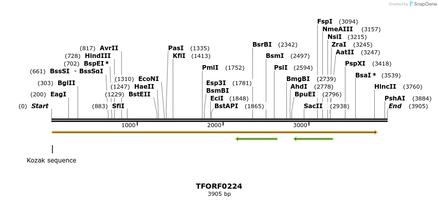 279230_map