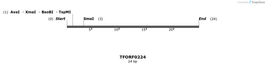 279231_map