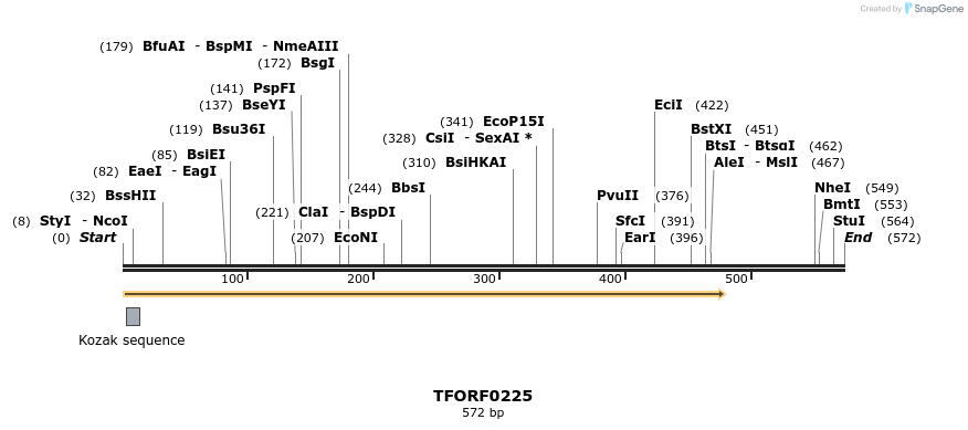 279233_map