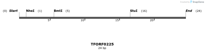 279234_map