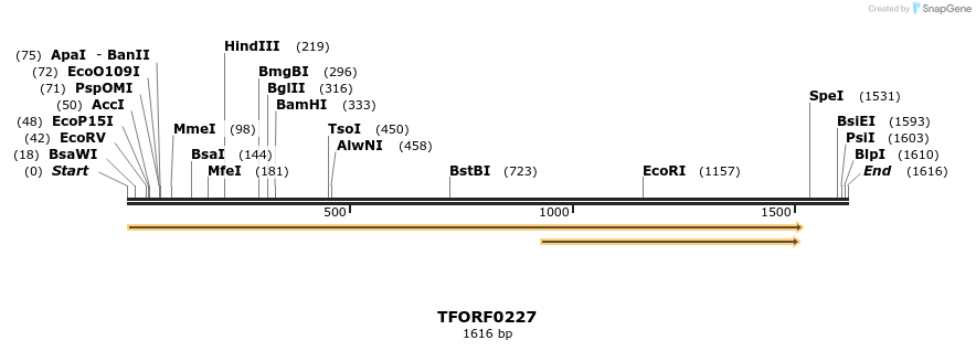 279236_map
