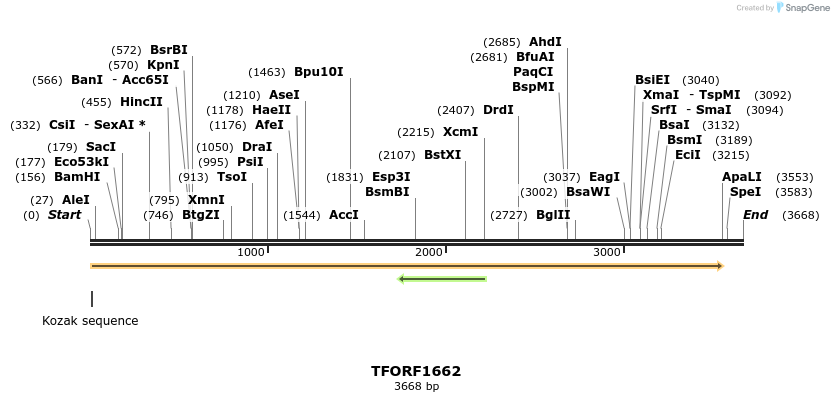 279242_map