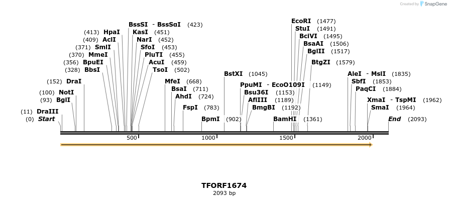 279245_map