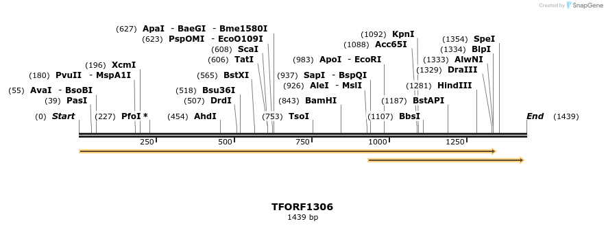 279248_map