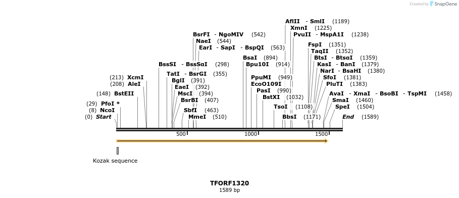 279254_map
