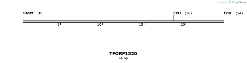 279255_map