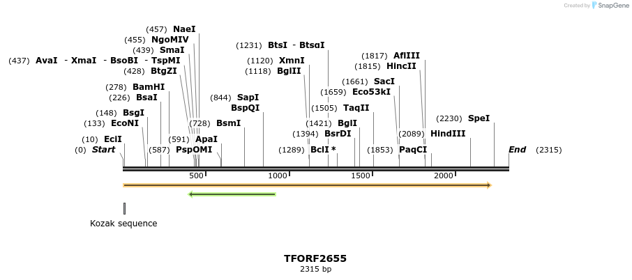279257_map