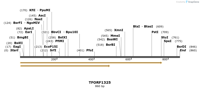 279260_map