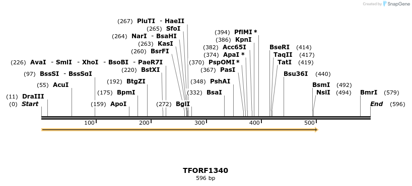 279263_map