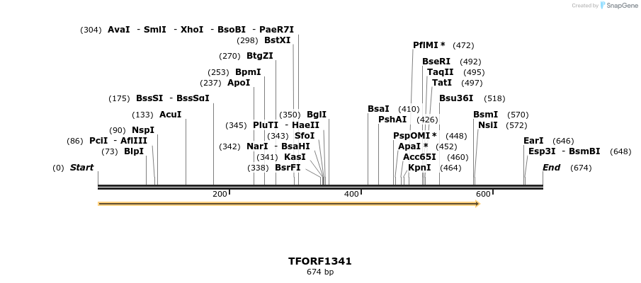 279266_map