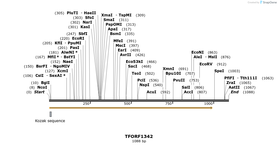 279269_map