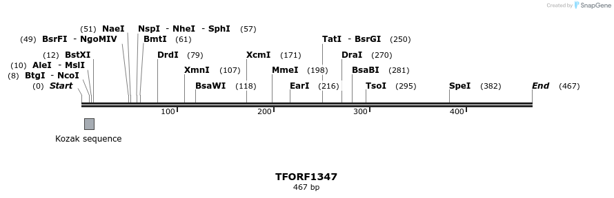 279272_map