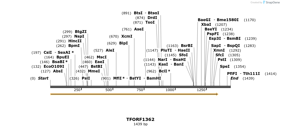 279278_map
