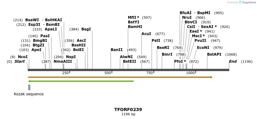 279293_map